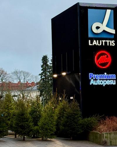 Joulukuuset nyt Lauttiksen toritasolta Joulukuuset nyt Lauttiksen toritasolta
